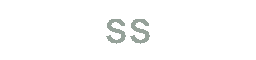 Shreni Shares Limited logo