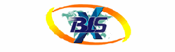 BLSX Limited logo
