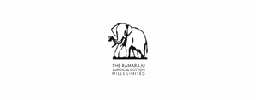 Ramaraju Surgical Cotton Mills Limited Unlisted Shares logo